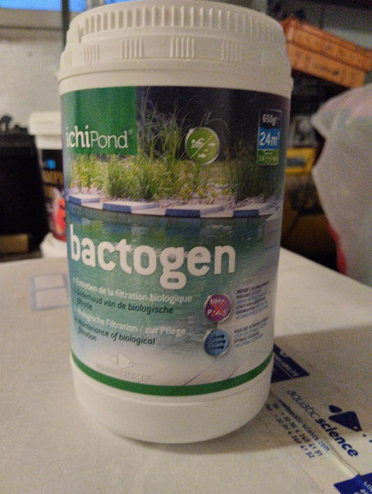 Bactogen ichipond bactéries pour entretenir vos filtration