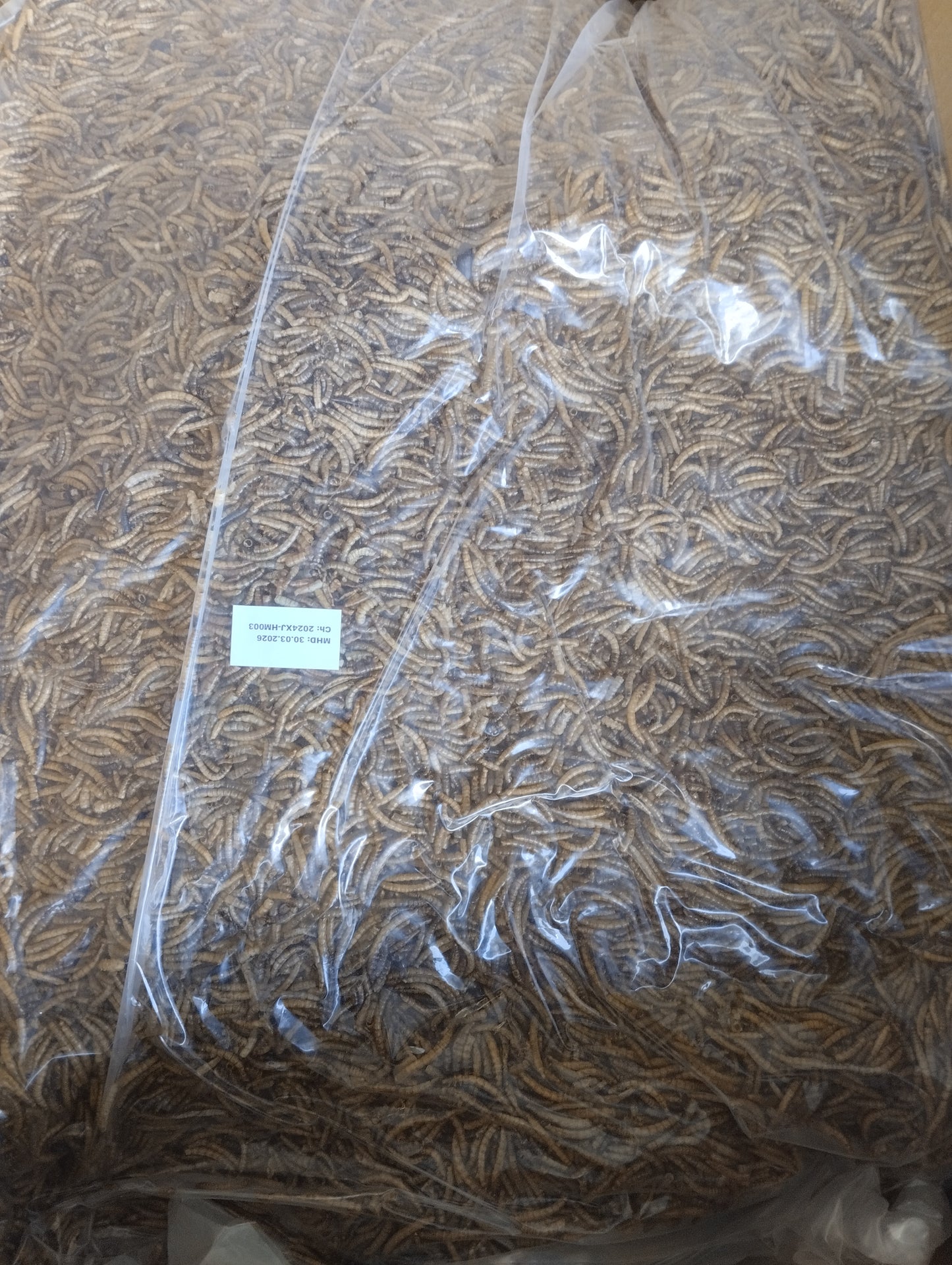 Vers de farine 5 kg complément alimentaire friandises