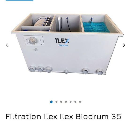 Combi ilex biodrum 35 mpf makoi