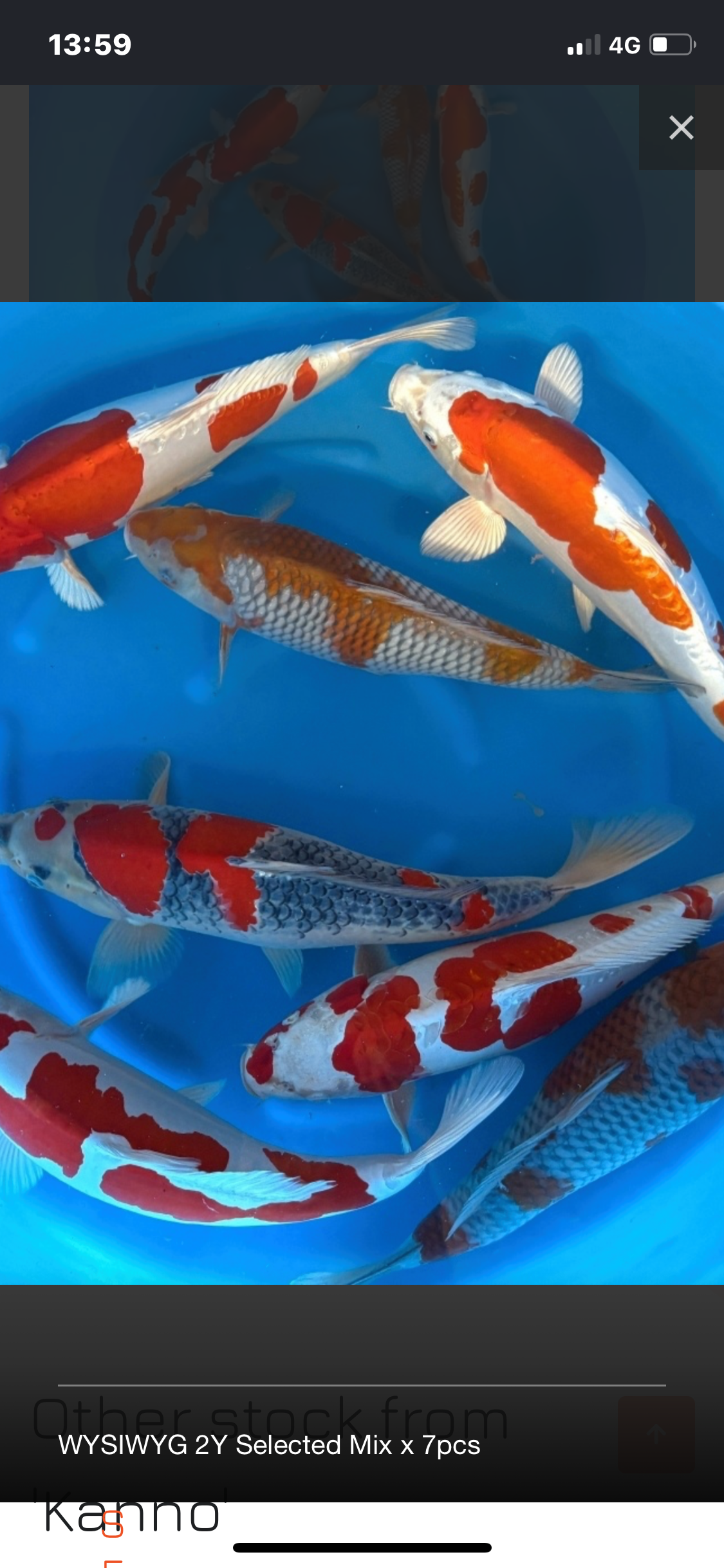 Nisai kanno