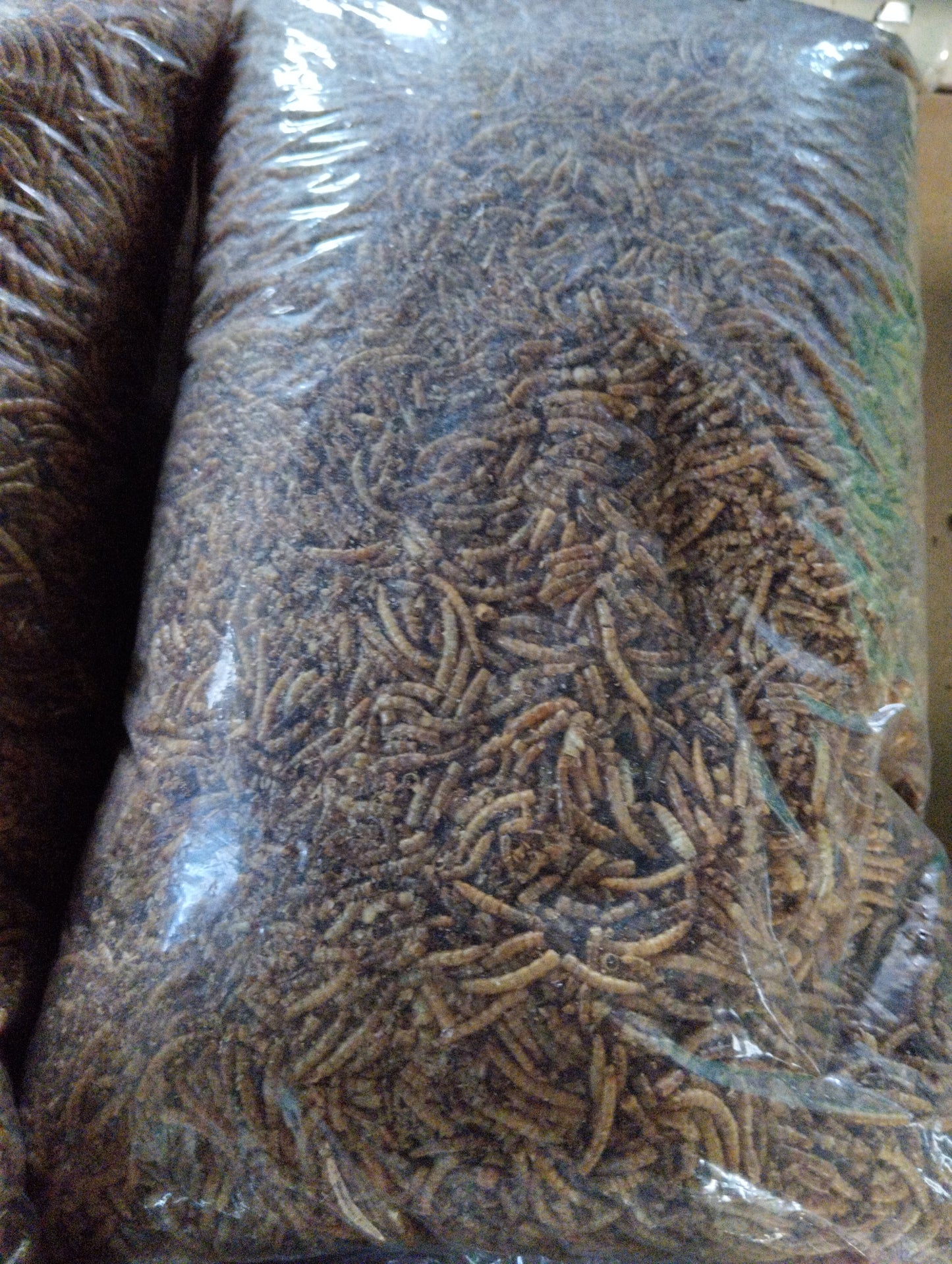 1 kg de vers de farine friandises koi