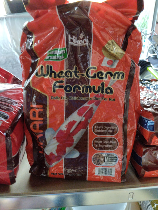 Hikari wheat gearm pellet M 5 kg flottant