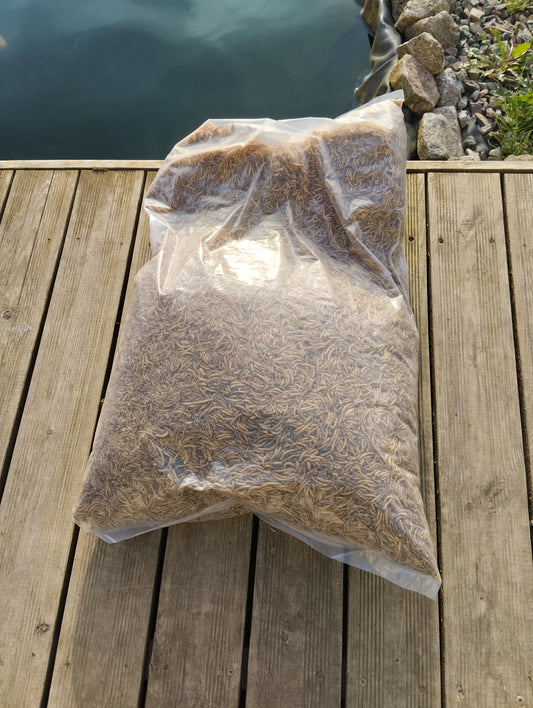Vers de farine 5 kg complément alimentaire friandises