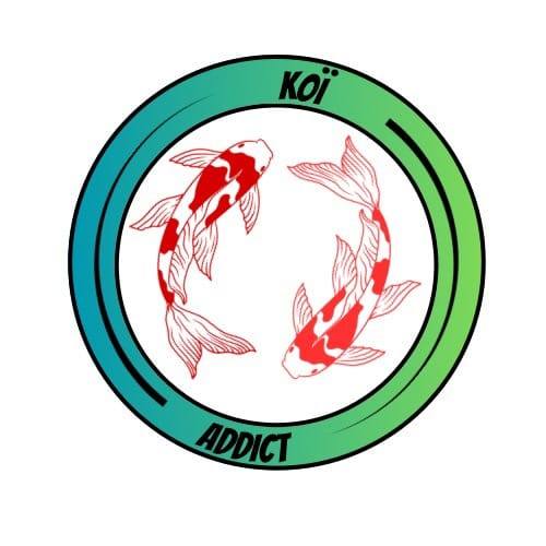 Koi addict 57 shop 