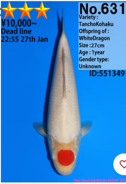 Dainichi tancho kohaku vhq