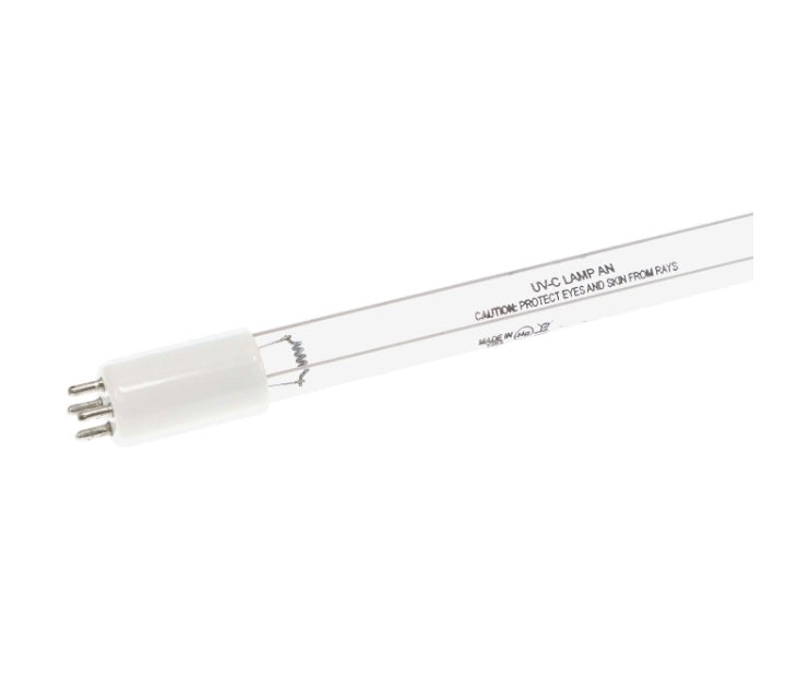 Ampoule UV amalgame rota