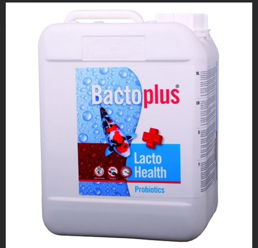 Bacto plus lacto heath probiotiques 2.5 l